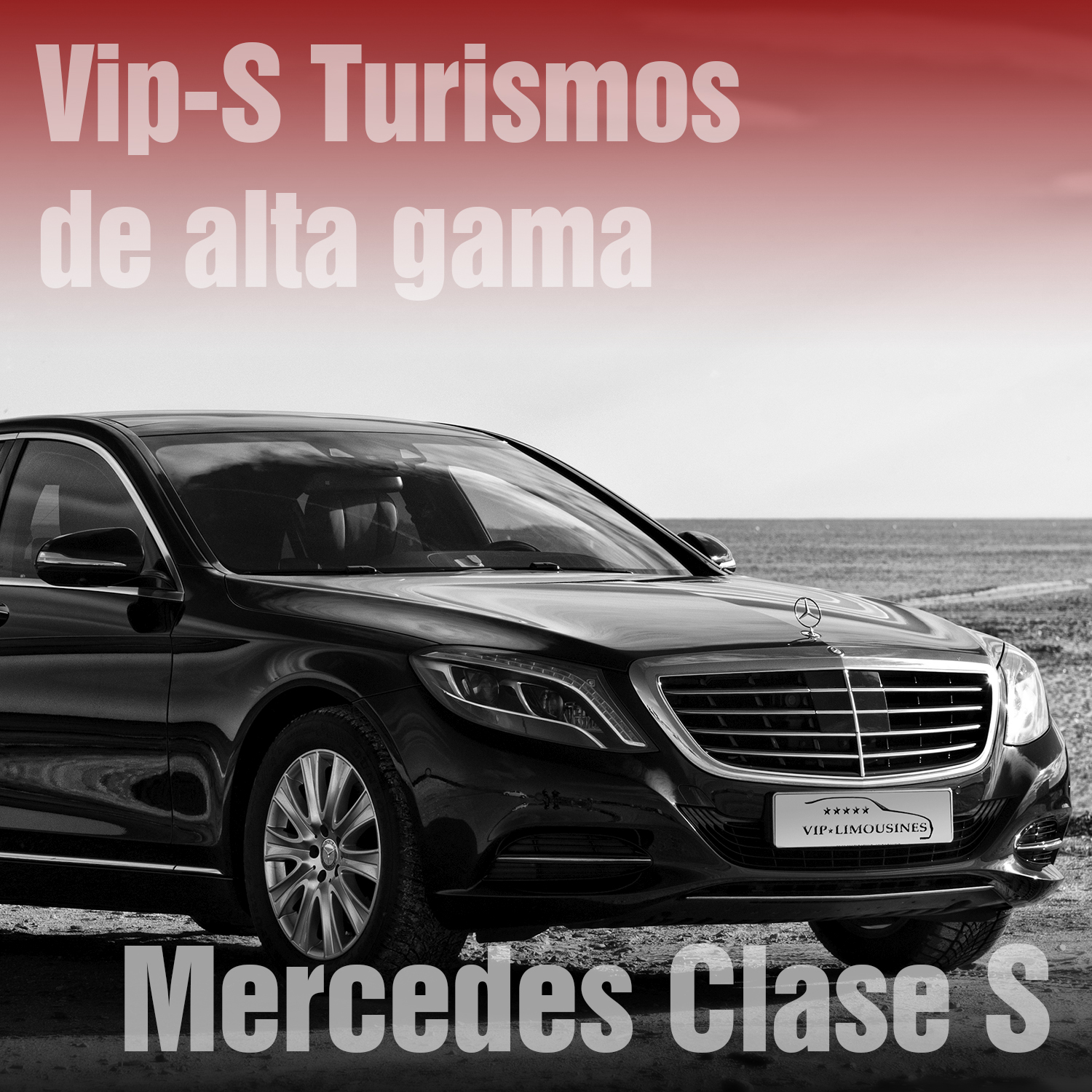 VIP Mercedes S-klass