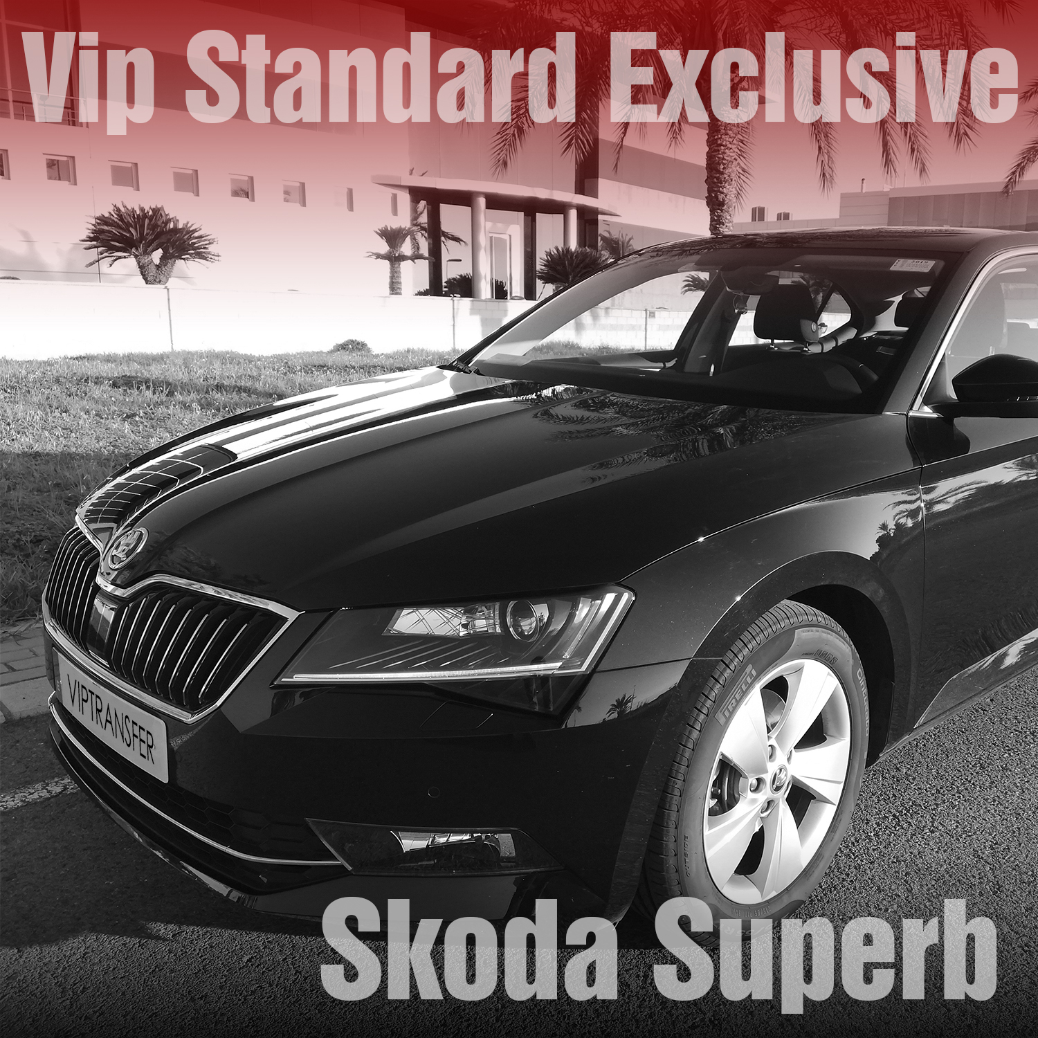 SKODA STANDARD FLOTA VIP